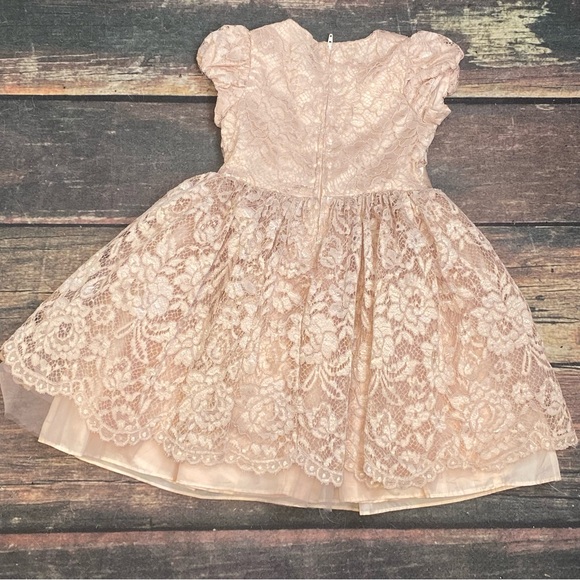 Bonnie Jean Girls Size 5 Taupe Blush Bow Embroidered Lace Floral Ballerina Dress - Picture 6 of 8